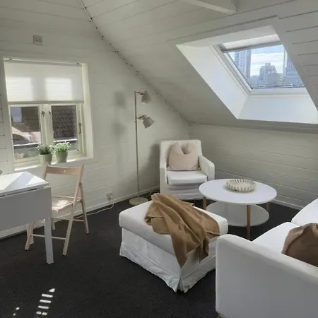 Fin Og Apen I Sentrum Lejlighed